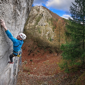 Gekón: 📸 Roman Ripka